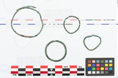 Foto von Bronzering (NHMW-PRAE-026629)